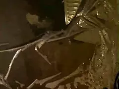 Milfy Calla Plays with Pee?