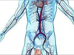 Stepmom Helps With Wicked Hormones Part 1 Crystal Clark WCA Productions.