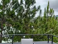 Pov Se Acabaron Las Cabanas Y Tienes Que Compartir Cabana Con La Sexy Y Hot Hijastra De Mi Jefe Big Cum