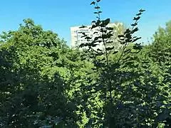 super mommy still sucking cock good, wow! 😍