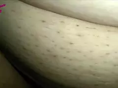 young bull fucks milf bbw wife 😈