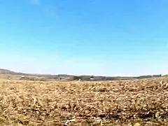 Best Of Pantsing - Part 4