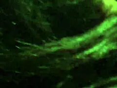 kingdinglong gets attention from mature white cougar.