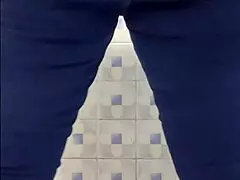 Mature BBW milf rides pussy in public bathroom