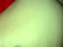 Resaboo receives a large cream pie