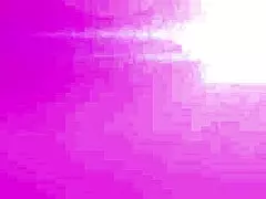 italian brazilian hotties american studs