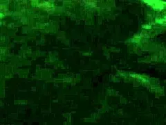 Hairy phat pussy ebony milf