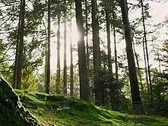 How To Perform Oral Sex On Your Girl My Name Is Cristian Cipriani