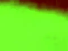 Exploring Emotions in the World's Fattest Pussy