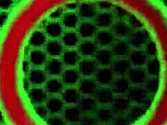 Anal Gapes! Leila Tries The Taste Of Cum After Hard Anal Fuck!