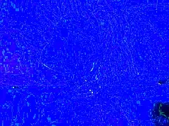 Submissive Milf Wife Blowjobs and Swallows Cum in Homemade Lingerie