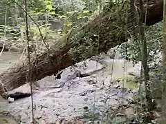 monika fox strolling jungle waterfalls
