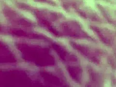 Intensely destroying the pretty Colombian milf's asshole with big cock in POV.