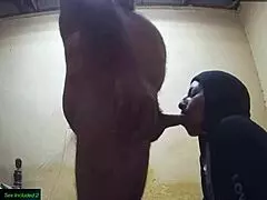 Marianna Sucking Cock - Cum In Her Mouth Blowjob