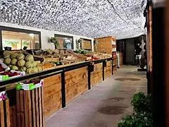 Pam Blonde Aux Gros Seins Se Fait Tartiner Comme Elle Voulait