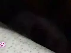 college girlfriend gets shaved pussy dirty talk chut jhante pov chudai hindi