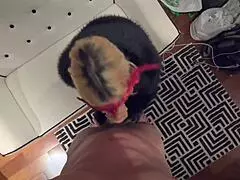 ElenaXXX Delivers Couch Blowjob Before Bed Missionary POV Action