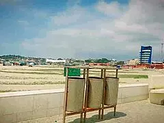 sexy big ass milf offers cash for street pounding