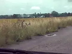 blonde wife stops car naked fingers wet hairy pussy to squirting orgasm publicly