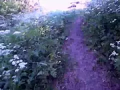 caught my stepsis stroking then fat ass rides dick hard 🍑🔥💦