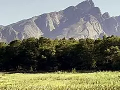 hey beach day with those amazonian ebony bbw goddesses aprilella's back! 🏖️🍑🔥