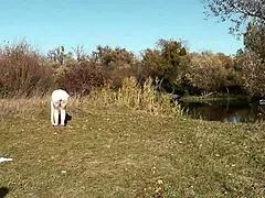 Autumn sport milf Frina strips naked public badminton lover doggystyle big ass