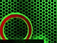 Two Milfs Worship Sara Jay's Massive Cock in Sloppy FFM Threesome