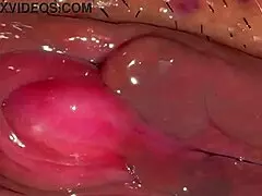 👅 amateur asian wife licks shaved pussy close-up 310 days post virginity loss