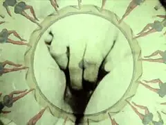 Salaisen elämäni villimmät vanhat eroottiset karvaiset pillut