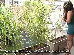 what special jobs does muscular gardener do for brunette milf kataleya gil?