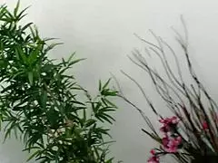 brunette beauty kaylee blanc bends over for rough doggystyle anal leading to massive creampie explosion inside