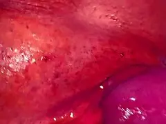 296 days post-virginity, this amateur's shaved pink pussy gets licked and creampied