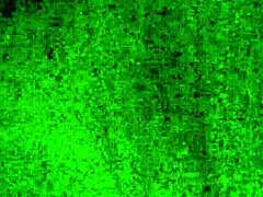 why does this latina hottie crave monster cock in her hotel room?!