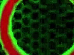 Does Arielle Ferrara Cum Hard When Rome Major Sucks Her Nipples?