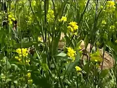 Obscene japanese milf kimika tsukada shiori body exposed