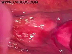 amateur asian wife licks shaved pink pussy close up 227 days post virginity loss wet cunilingus fun