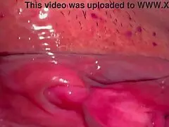 amateur asian wife licks shaved pink pussy close up 227 days post virginity loss wet cunilingus fun
