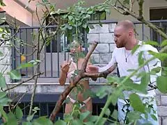 monika fox givin crazy sloppy street bj to random guy gaggin hard!!