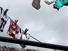 wanna taste my neighbor milf's juicy calzones while she fingers her wet pussy for you?