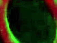 maxine x masturbates wet pussy begging sean michaels to cum all over her!