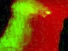 she tests anal fuck machine in bedroom closeup