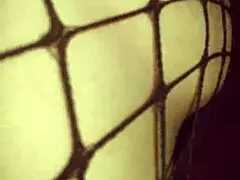 wife's fishnet lingerie porn shoot