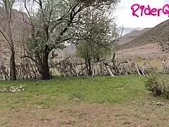 riderqueen real latina milf uncensored sex tape creampie rough cuckold