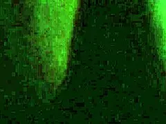 Neighbor's big black cock slaps rhythmically against her thick white ass cheeks 