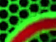 oh god i can't believe nerdy coed mandy rhea's tight pussy gets slammed so rough by rome major's monster black cock deepthroat sloppy!