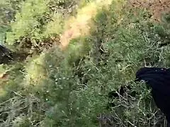 Forest kiss excerpt sparks amateur couple public doggystyle romp