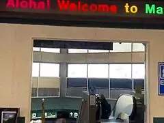 busty danae marie and lacey jane share outdoor blowjobs on a hot date