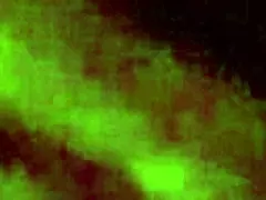 happy birthday to me sucking tattooed mature cock deep!