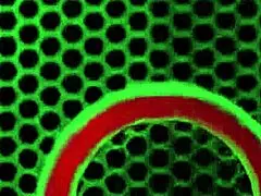 alicia reign selina love ride rome major cock in exotic threesome