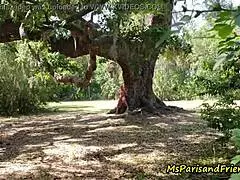 ms paris spots horny voyeurs spying her shaved pierced nipples in public park doggystyle